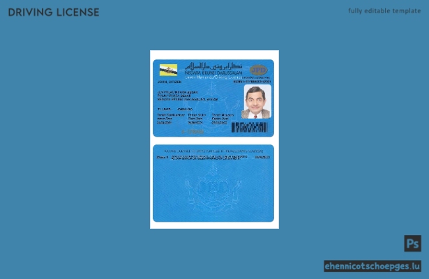 Beispielansicht eines Führerscheins aus Brunei